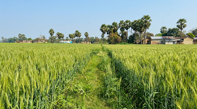 SALIMPUR RAMPUR DOMA