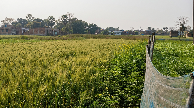 SALIMPUR RAMPUR DOMA