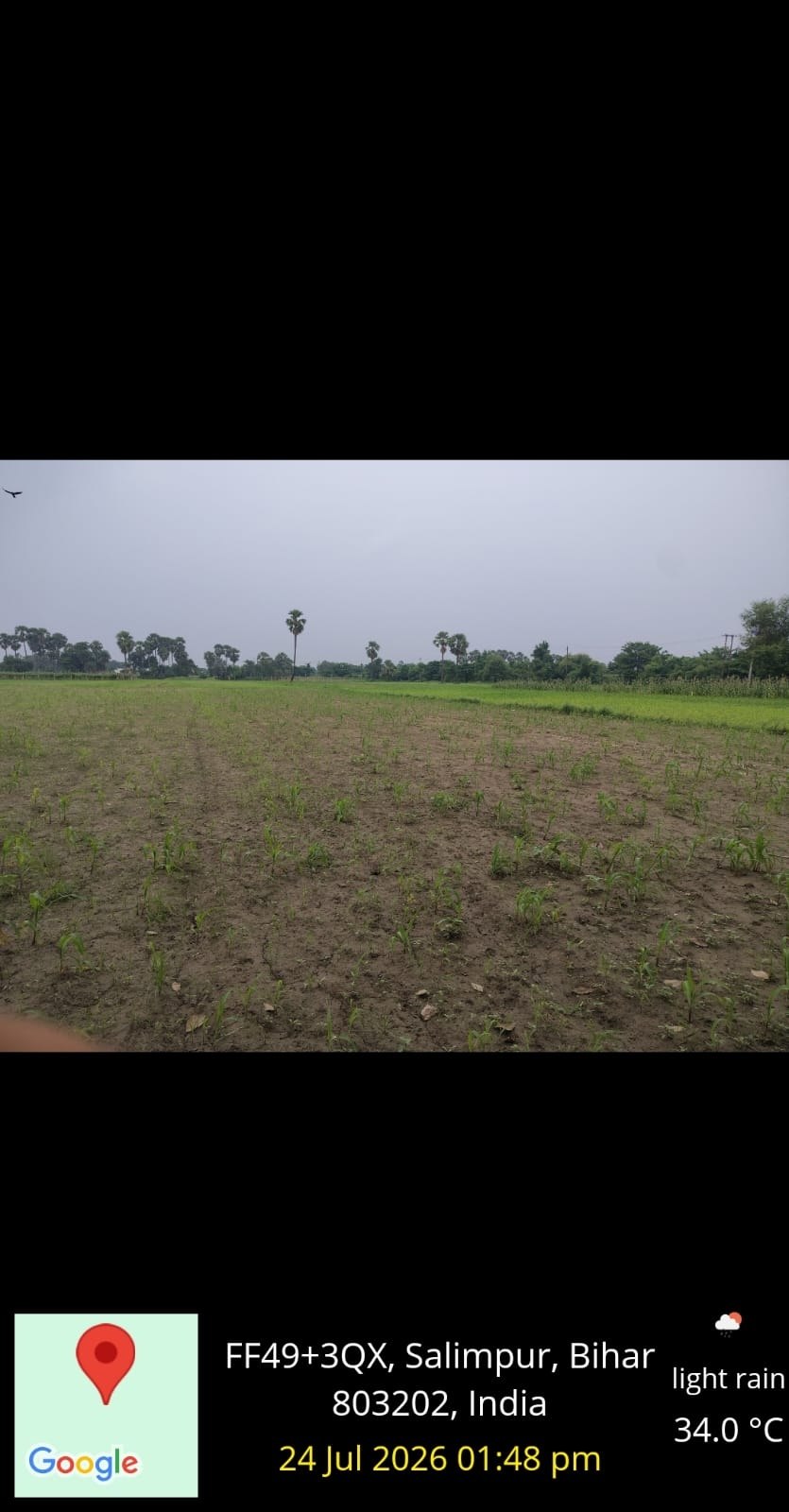 LAND BAKHTIYARPUR MAMTA HOTEL