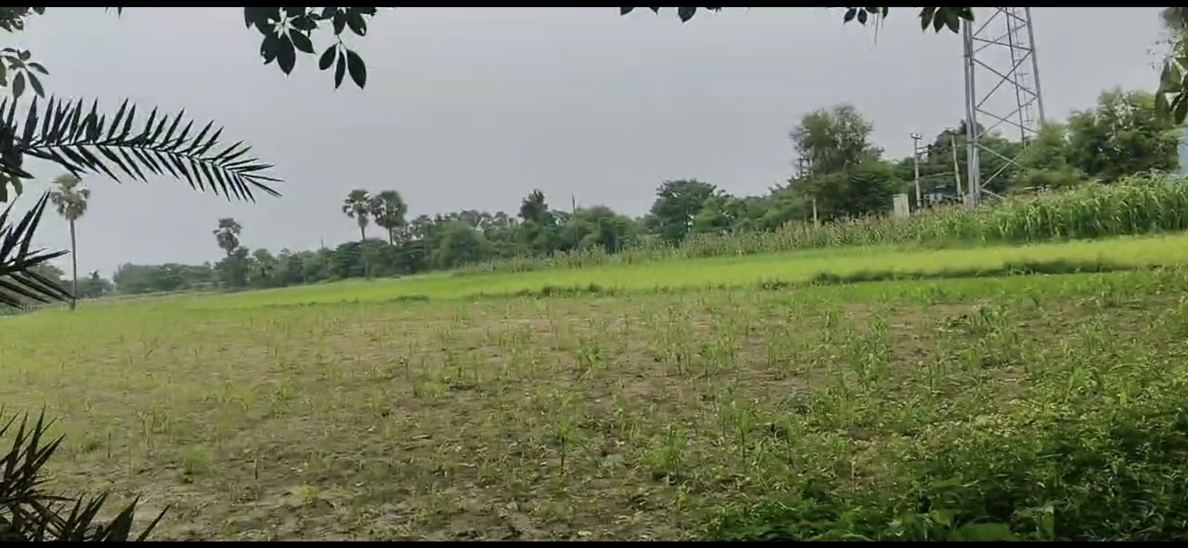LAND BAKHTIYARPUR MAMTA HOTEL