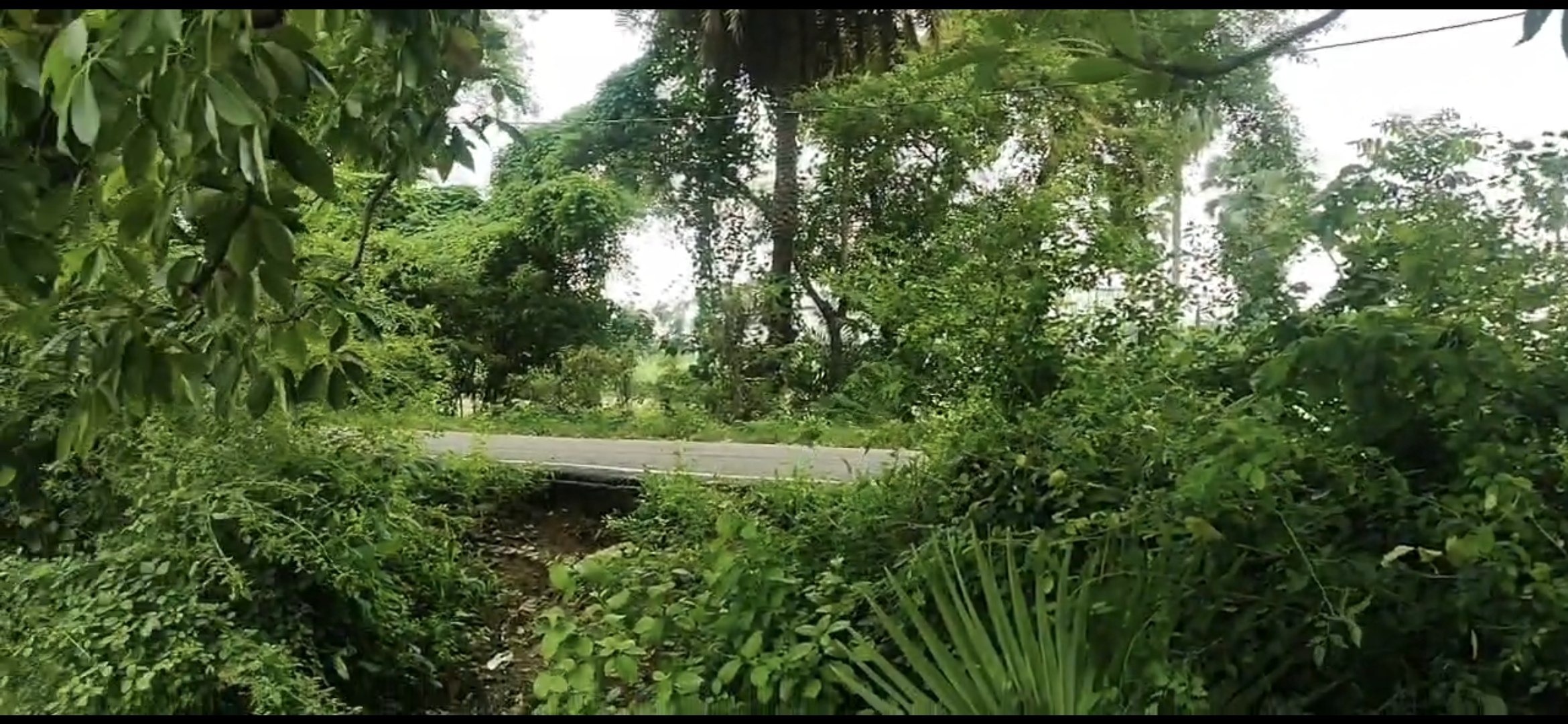 LAND BAKHTIYARPUR MAMTA HOTEL