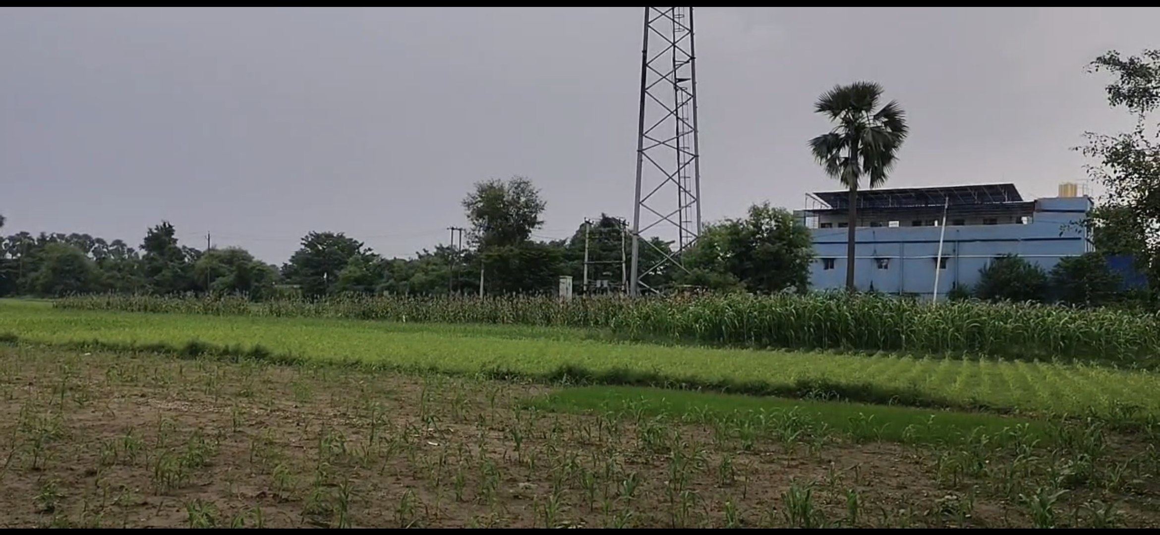 LAND BAKHTIYARPUR MAMTA HOTEL