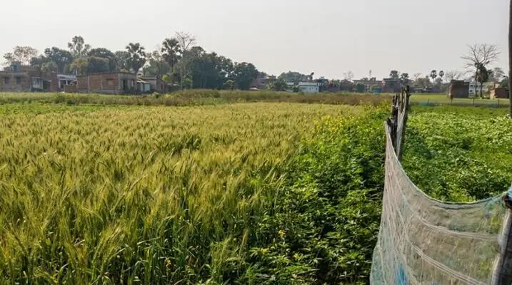 LAND BAKHTIYARPUR MAMTA HOTEL